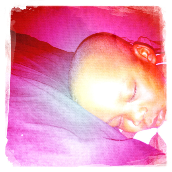 Hip 337376250.687640