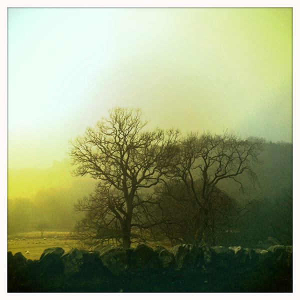 Hip 322324860.072012