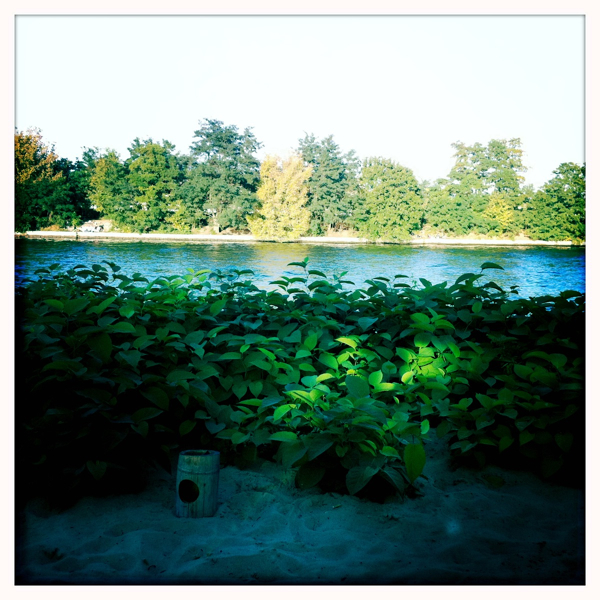 Hip 339261288.633672