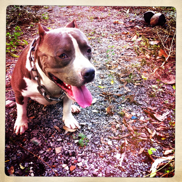 Hip 339158393.496865