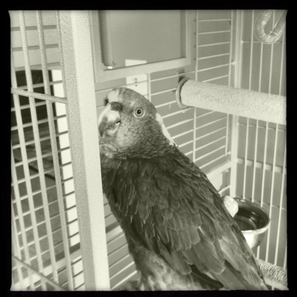 Hip 339274581.099951