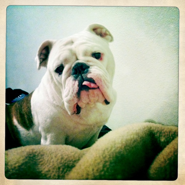 Hip 339311290.557392