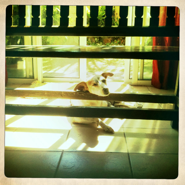 Hip 315723002.114598