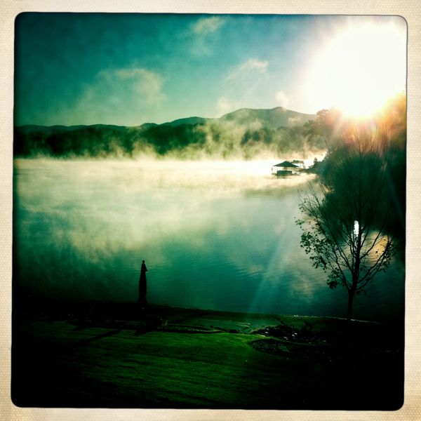 Hip 339336881.619896