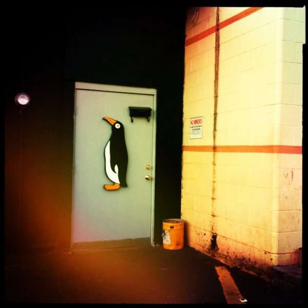 Hip 337528230.015662