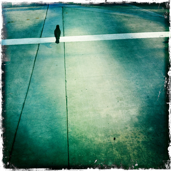 Hip 337215744.469900