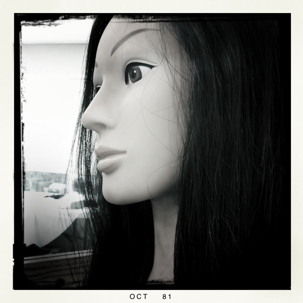 Hip 339342287.385546