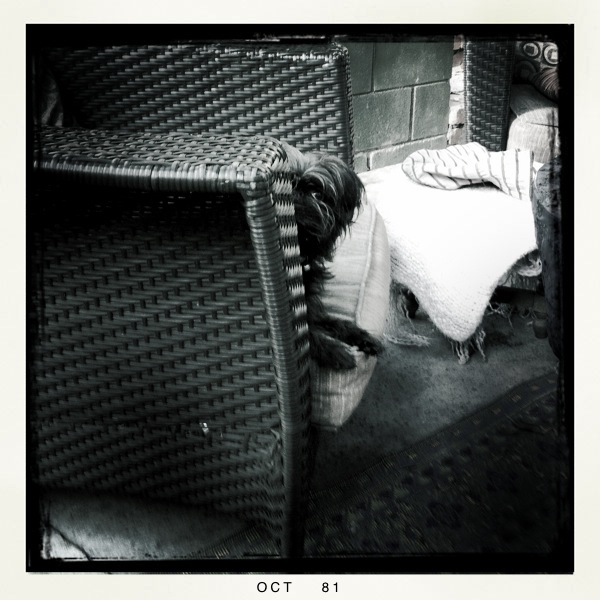 Hip 339378187.215522