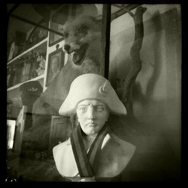 Hip 339386300.320753