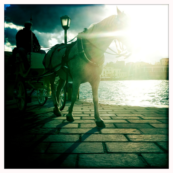 Hip 338397722.716751