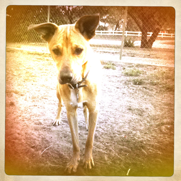 Hip 339381786.108695