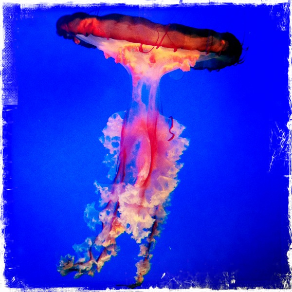 Hip 338803543.609968