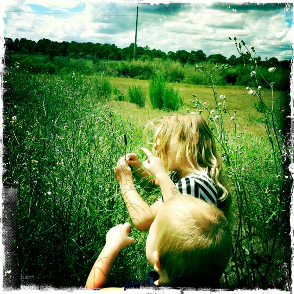 Hip 339527844.903197