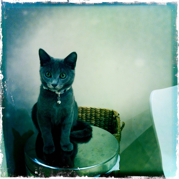 Hip 324893268.243994