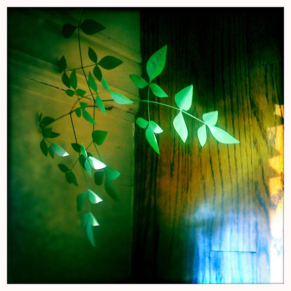 Hip 339539195.980461