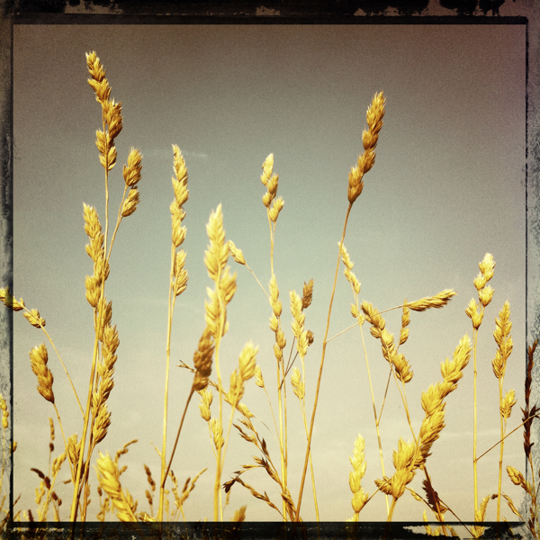 Hip 332034916.948251