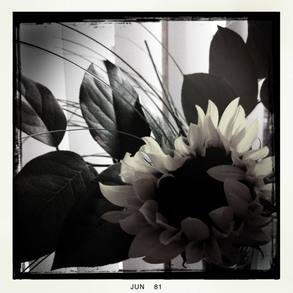 Hip 329367574.335803