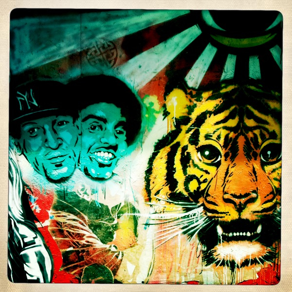 Hip 333135520.028480