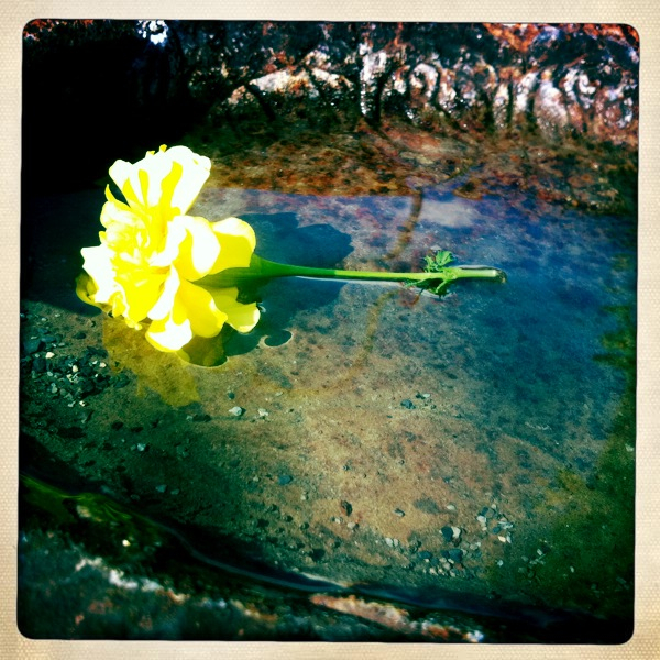 Hip 339715452.383288