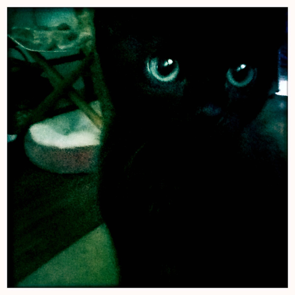 Hip 339620179.201320