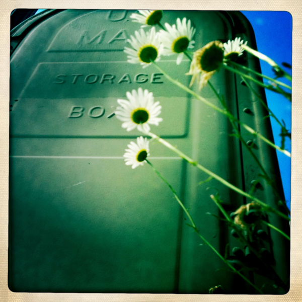 Hip 332197910.291943