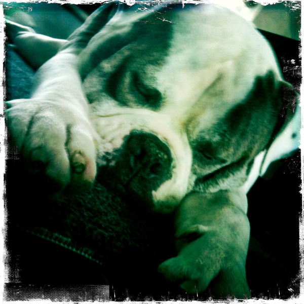 Hip 340033930.692617