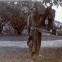 Falconer 