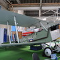 Bapmus100417367-0