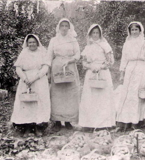 Fruitpickers10642-0