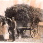 A cartload of straw