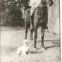 Stableford Farm