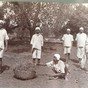 Harvesting_1910