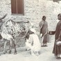 Milking_time