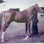 JACK BRYANT WITH BLUE MASQUE AT 3 COUNTIES SHOW, MALVERN
