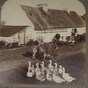 Farmer in  Kerry at The Beginning of the Twentieth Century			 