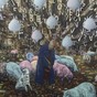 David Brian smith           Great Expectations-Penny