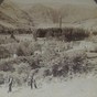Glendalough of the Seven Churches