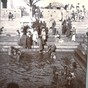 Bathing_2_