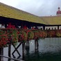 Img_4595