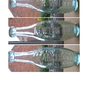 R. White Bottle