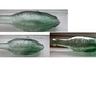 Scweppes Bottles