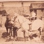 Helperby (6)