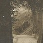 Bridge (2)