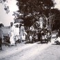 Buffalo_cart