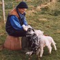 Brian_and_lambs