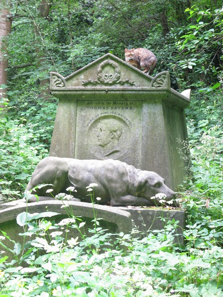 Faithful Friends