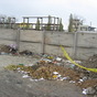 Wasteland
