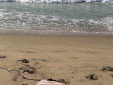 THE REAL NEWISM photo