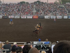 Our last rodeo photo