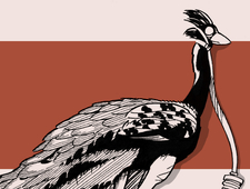 Spectacular Spiritual Game photo